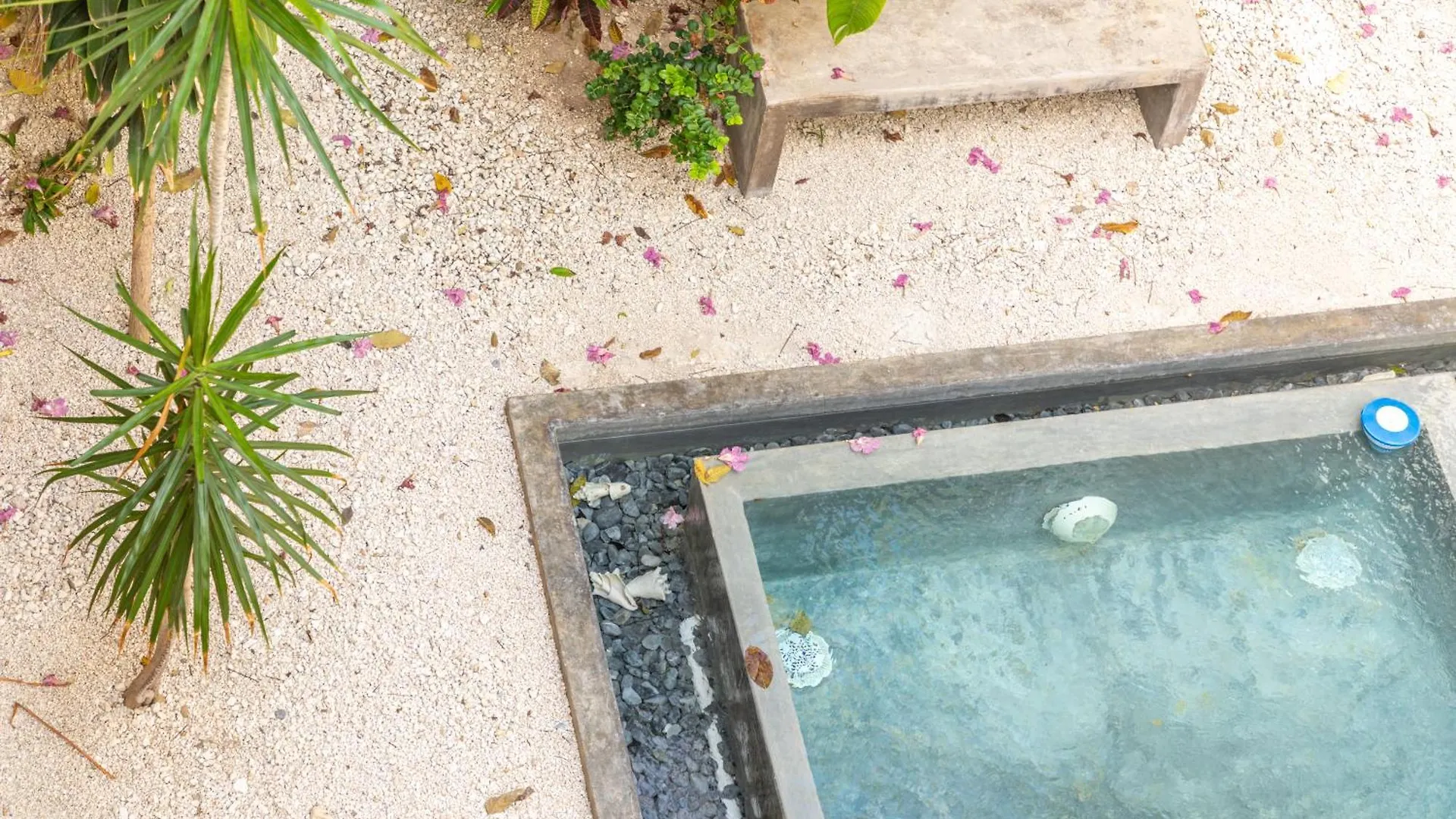 Habanero Suites & Garden Playa del Carmen Meksyk