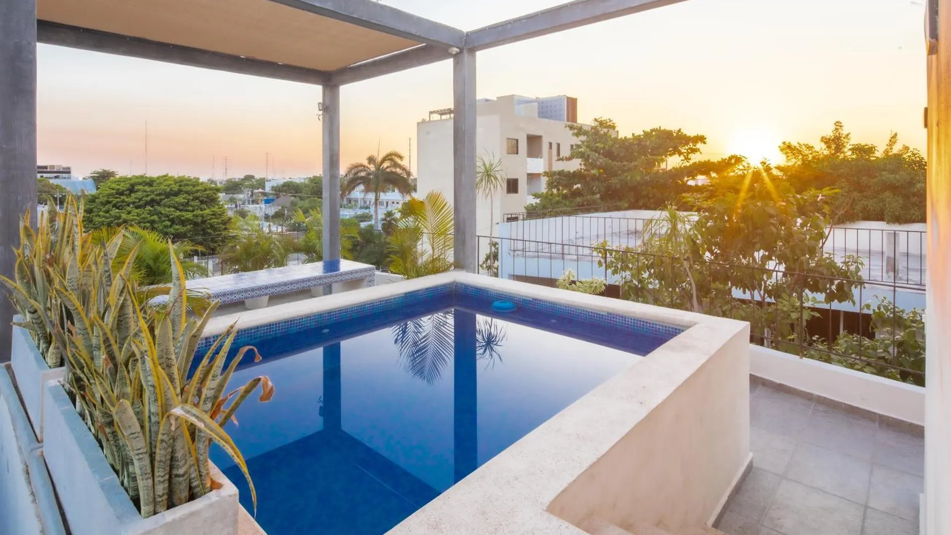 Habanero Suites & Garden Playa del Carmen Meksyk
